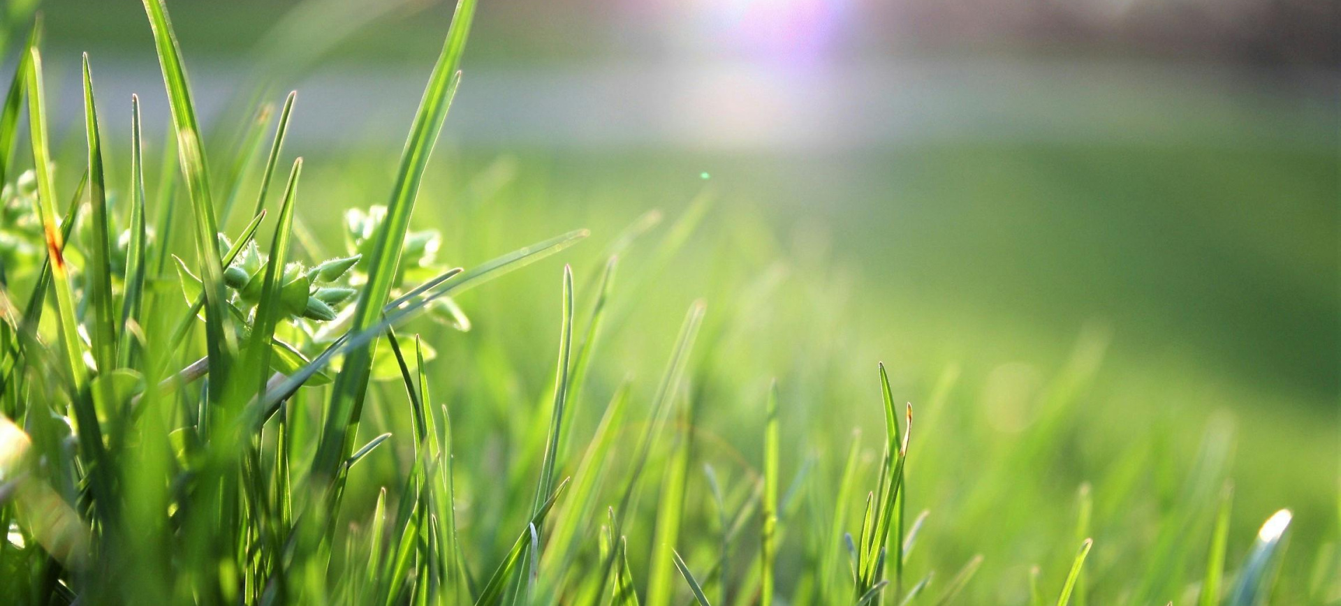 SDG_13_Maßnahmen zum Klimeschutz_Bild