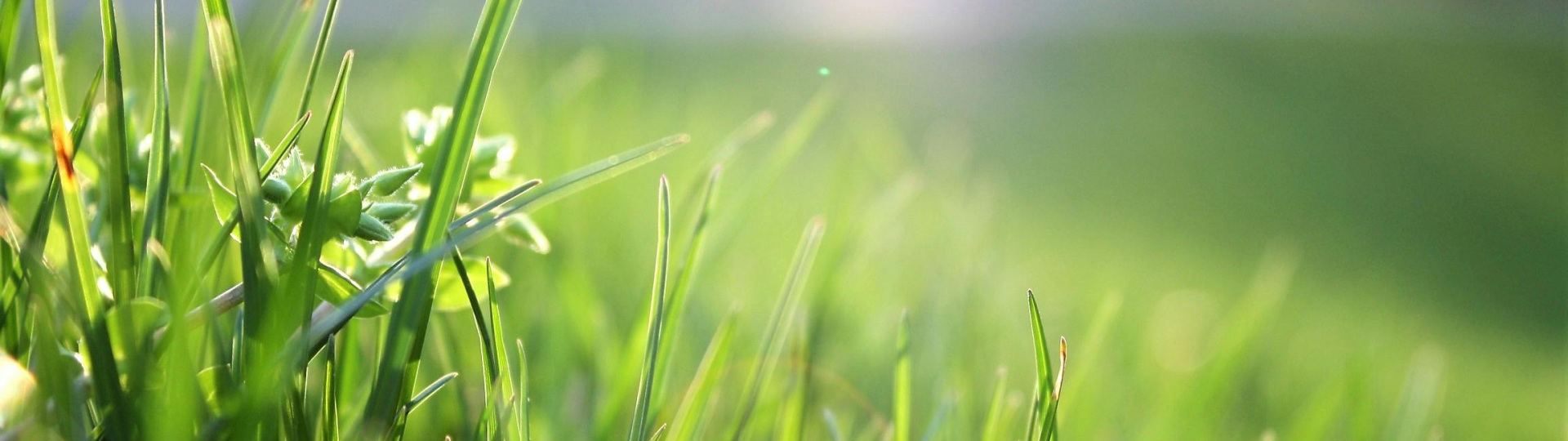 SDG_13_Maßnahmen zum Klimeschutz_Bild