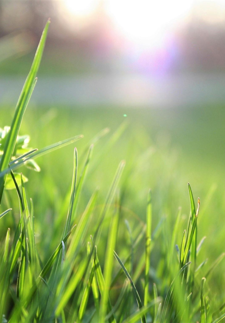 SDG_13_Maßnahmen zum Klimeschutz_Bild