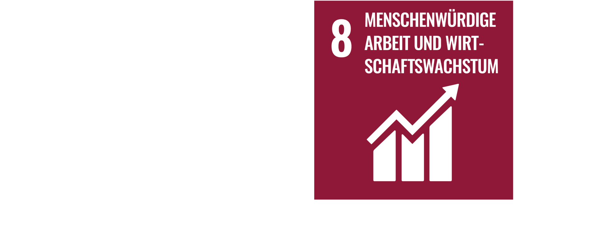 SDG_8_Menschenwürdige Arbeit und Wirtschaftswachstum